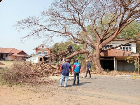 ตัดกิ่งไม้