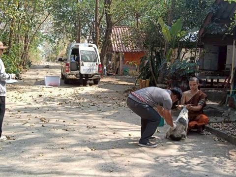 ฉีดวัคซีนป้องกันโรคพิษสุนัขบ้า สุนัขและแมว ปี 2569