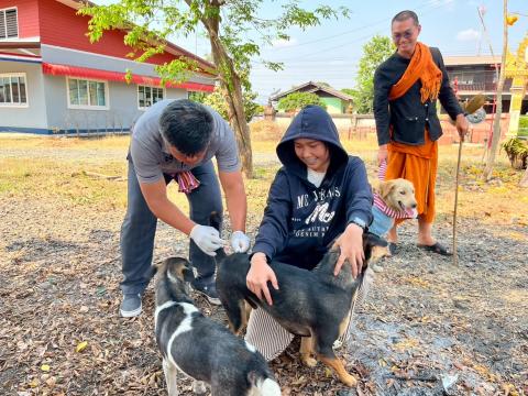 ฉีดวัคซีนป้องกันโรคพิษสุนัขบ้า สุนัขและแมว ปี 2569