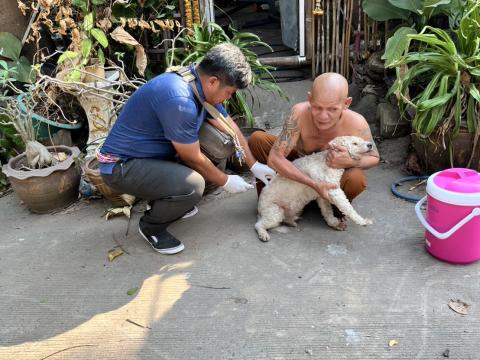 ฉีดวัคซีนป้องกันโรคพิษสุนัขบ้า สุนัขและแมว ปี 2569