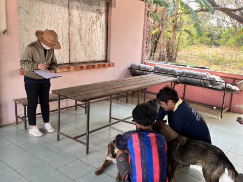 ฉีดวัคซีนป้องกันโรคพิษสุนัขบ้า สุนัขและแมว ปี 2569