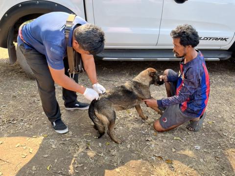 ฉีดวัคซีนป้องกันโรคพิษสุนัขบ้า สุนัขและแมว ปี 2569