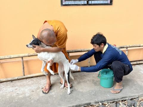 ฉีดวัคซีนป้องกันโรคพิษสุนัขบ้า สุนัขและแมว ปี 2569