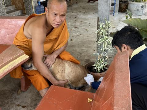 ฉีดวัคซีนป้องกันโรคพิษสุนัขบ้า สุนัขและแมว ปี 2569