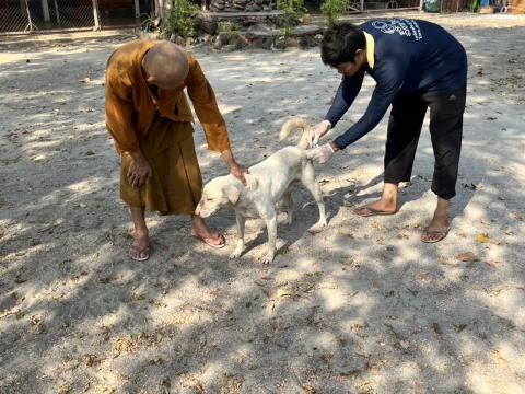 ฉีดวัคซีนป้องกันโรคพิษสุนัขบ้า สุนัขและแมว ปี 2569