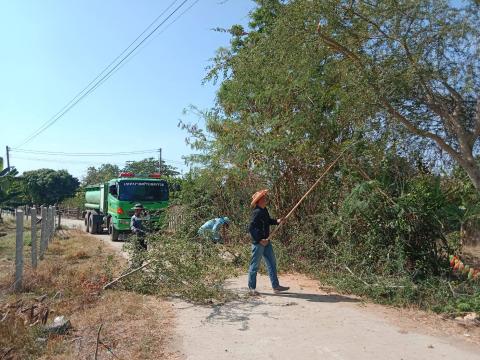 ตัดแต่งกิ่งไม้