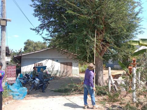 ตัดแต่งกิ่งไม้