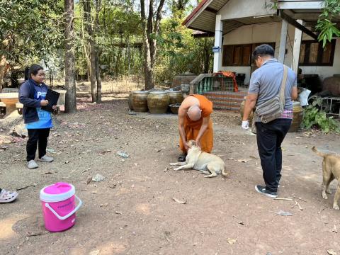 ฉีดวัคซีนป้องกันโรคพิษสุนัขบ้า สุนัขและแมว ปี 2569