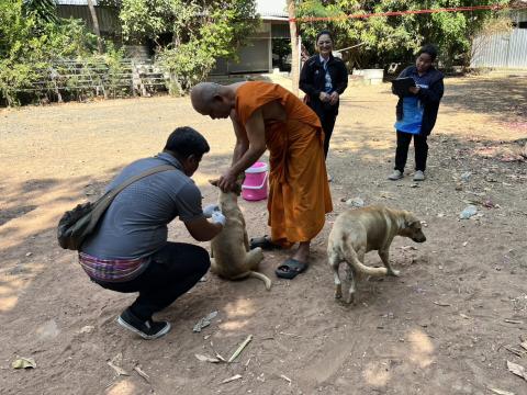 ฉีดวัคซีนป้องกันโรคพิษสุนัขบ้า สุนัขและแมว ปี 2569