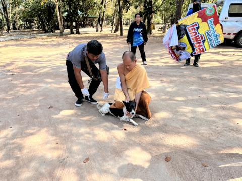 ฉีดวัคซีนป้องกันโรคพิษสุนัขบ้า สุนัขและแมว ปี 2569