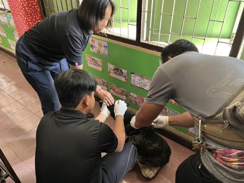 ฉีดวัคซีนป้องกันโรคพิษสุนัขบ้า สุนัขและแมว ปี 2569