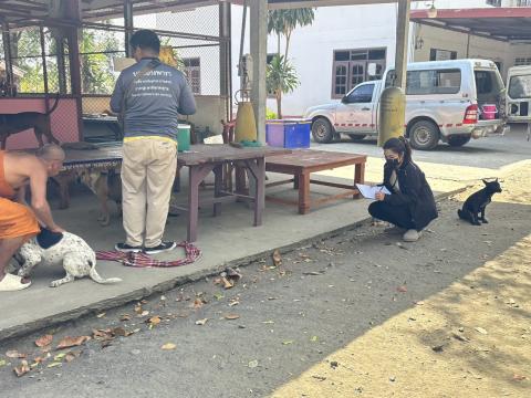 วันที่ 20 กุมภาพันธ์ 2569 เทศบาลตำบลถาวร นำโดยนางพรเพ็ญ ทองดล นายกเทศมนตรีตำบลถาวร มอบหมายให้กองสาธารณสุขฯ ออกดำเนินการฉีดดวัคซีนป้องกันโรคพิษสุนัขบ้า สุนัขและแมว ปี 2569 ในพื้นที่สาธารณะในเขตเทศบาลตำบลถาวร สถานที่สำนักสงฆ์สาละวราราม สำนักสงฆ์บ้านโคก