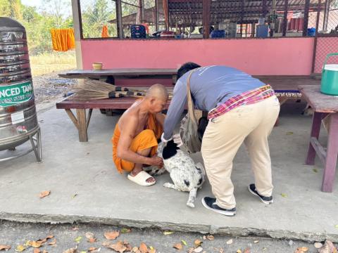 วันที่ 20 กุมภาพันธ์ 2569 เทศบาลตำบลถาวร นำโดยนางพรเพ็ญ ทองดล นายกเทศมนตรีตำบลถาวร มอบหมายให้กองสาธารณสุขฯ ออกดำเนินการฉีดดวัคซีนป้องกันโรคพิษสุนัขบ้า สุนัขและแมว ปี 2569 ในพื้นที่สาธารณะในเขตเทศบาลตำบลถาวร สถานที่สำนักสงฆ์สาละวราราม สำนักสงฆ์บ้านโคก