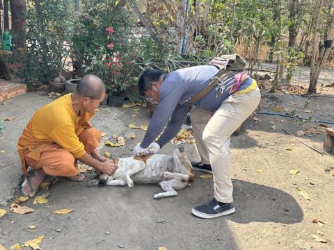 วันที่ 20 กุมภาพันธ์ 2569 เทศบาลตำบลถาวร นำโดยนางพรเพ็ญ ทองดล นายกเทศมนตรีตำบลถาวร มอบหมายให้กองสาธารณสุขฯ ออกดำเนินการฉีดดวัคซีนป้องกันโรคพิษสุนัขบ้า สุนัขและแมว ปี 2569 ในพื้นที่สาธารณะในเขตเทศบาลตำบลถาวร สถานที่สำนักสงฆ์สาละวราราม สำนักสงฆ์บ้านโคก