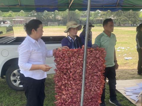 ตงแต่งเวที ในงานประเพณีบุญบั้งไฟ ตำบลถาวร ประจำปี 2569
