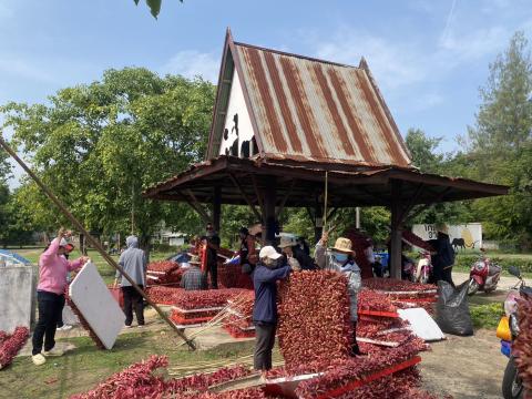 ตงแต่งเวที ในงานประเพณีบุญบั้งไฟ ตำบลถาวร ประจำปี 2569