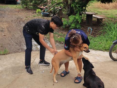 ฉีดวัคซีนป้องกันโรคพิษสุนัขบ้าในพื้นที่เสื่ยง