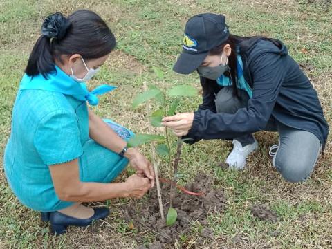 โครงการปลูกต้นไม้เฉลิมพระเกียรติ