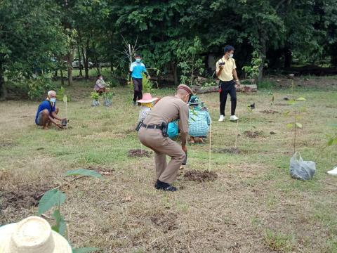 โครงการปลูกต้นไม้เฉลิมพระเกียรติ