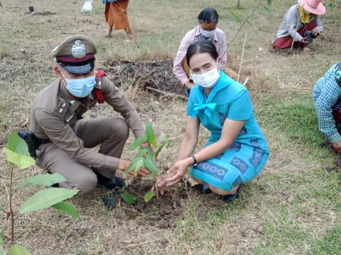 โครงการปลูกต้นไม้เฉลิมพระเกียรติ