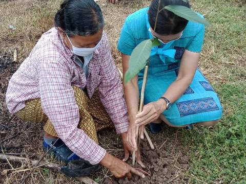 โครงการปลูกต้นไม้เฉลิมพระเกียรติ