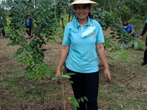โครงการปลูกต้นไม้เฉลิมพระเกียรติ