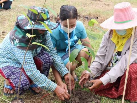 โครงการปลูกต้นไม้เฉลิมพระเกียรติ