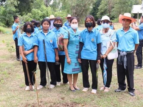 โครงการปลูกต้นไม้เฉลิมพระเกียรติ