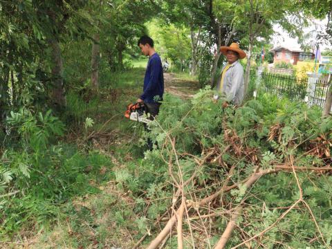 ปรับปรุงภูมิทัศน์บริเวณรอบพื้นที่สำนักงานเทศบาลตำบลถาวร