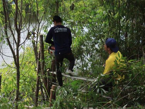 ปรับปรุงภูมิทัศน์บริเวณรอบพื้นที่สำนักงานเทศบาลตำบลถาวร